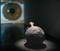 Janine Antoni, Tear, 2009